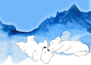 To isbjørne - illustration