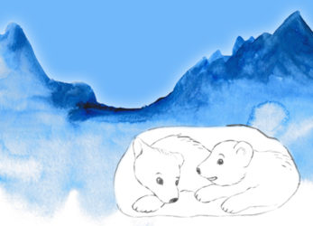 To isbjørne - illustration